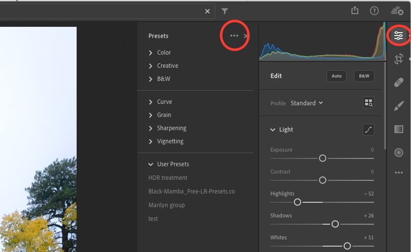 lightroomCC presets.jpeg
